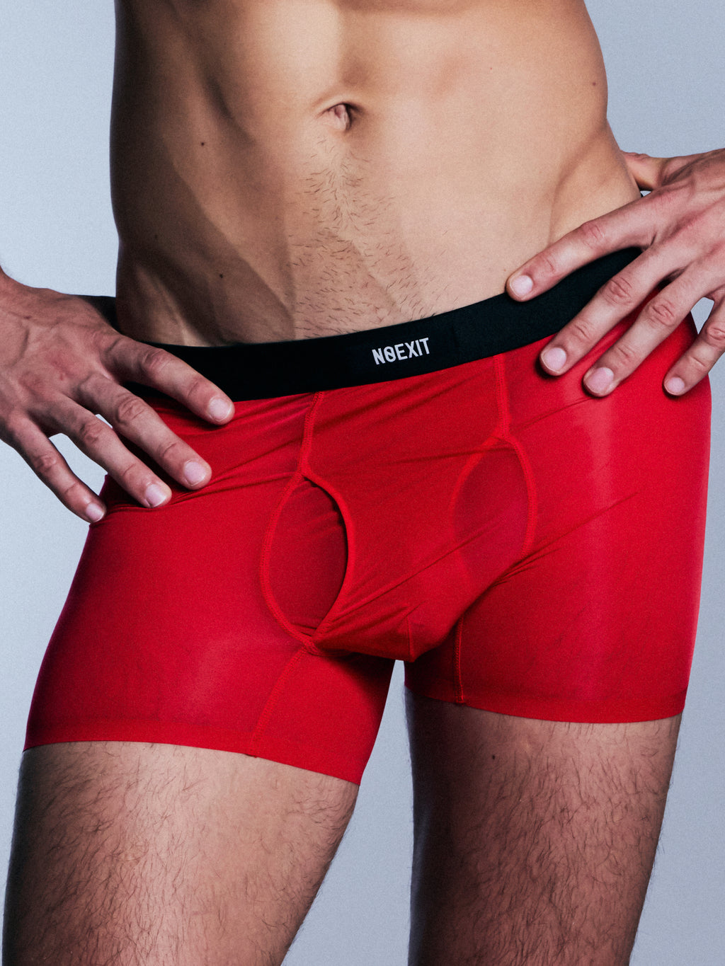 Men's Sheer Mesh Boxer Briefs | Longer Leg Fit | NOEXIT