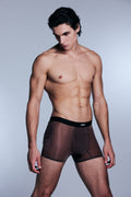 SHEER BOXER BRIEF