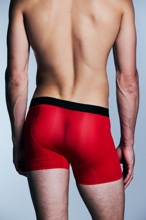 Men's Sheer Mesh Boxer Briefs | Longer Leg Fit | NOEXIT