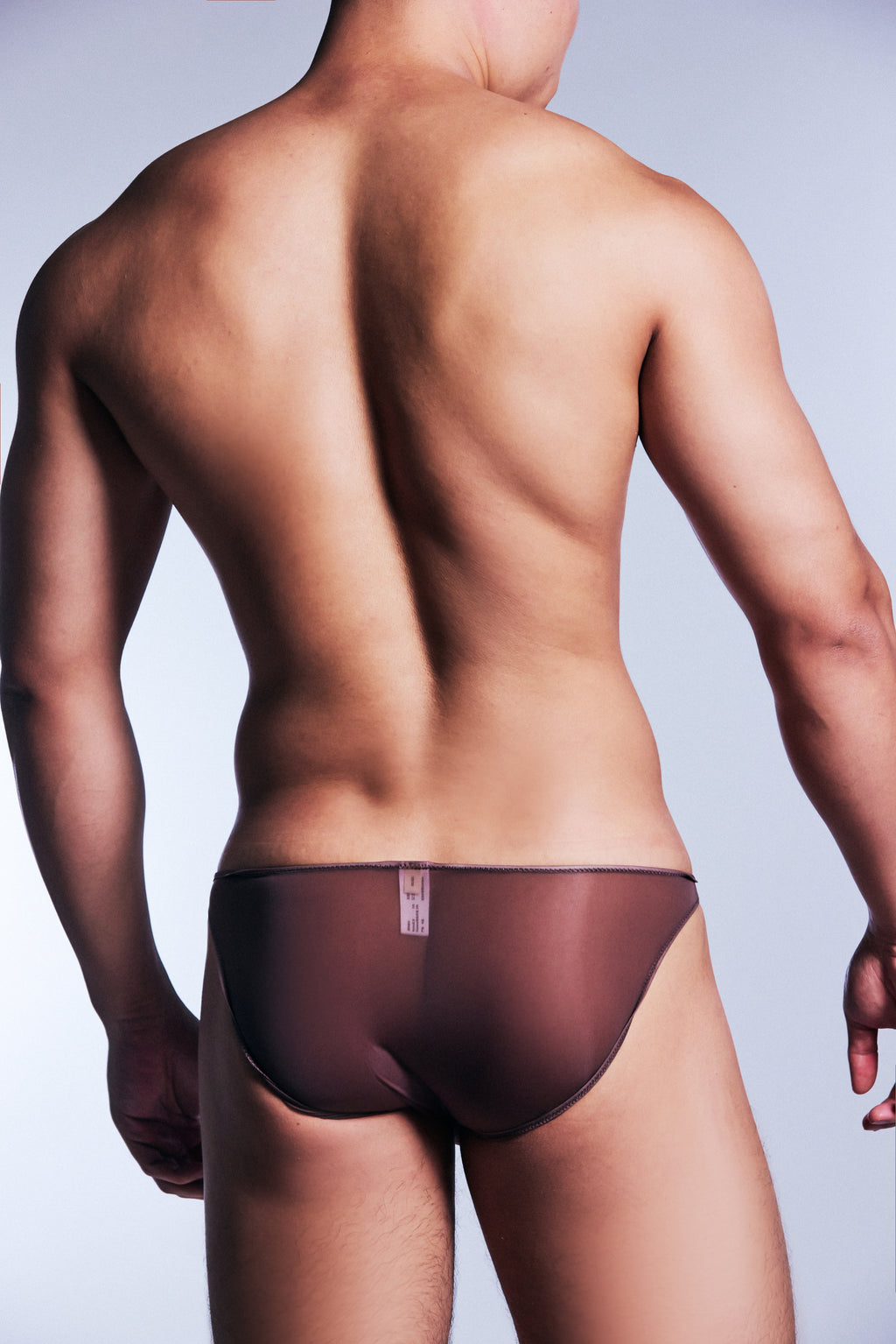 SHEER BOXER BRIEF